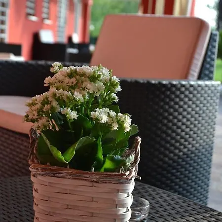 Bed & Breakfast Ori *